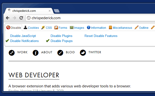 web developer