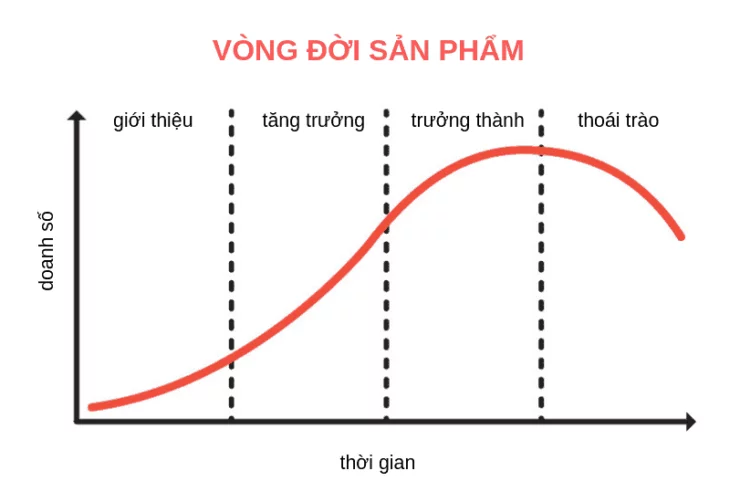 Product Life Cycle (vòng đời của sản phẩm)