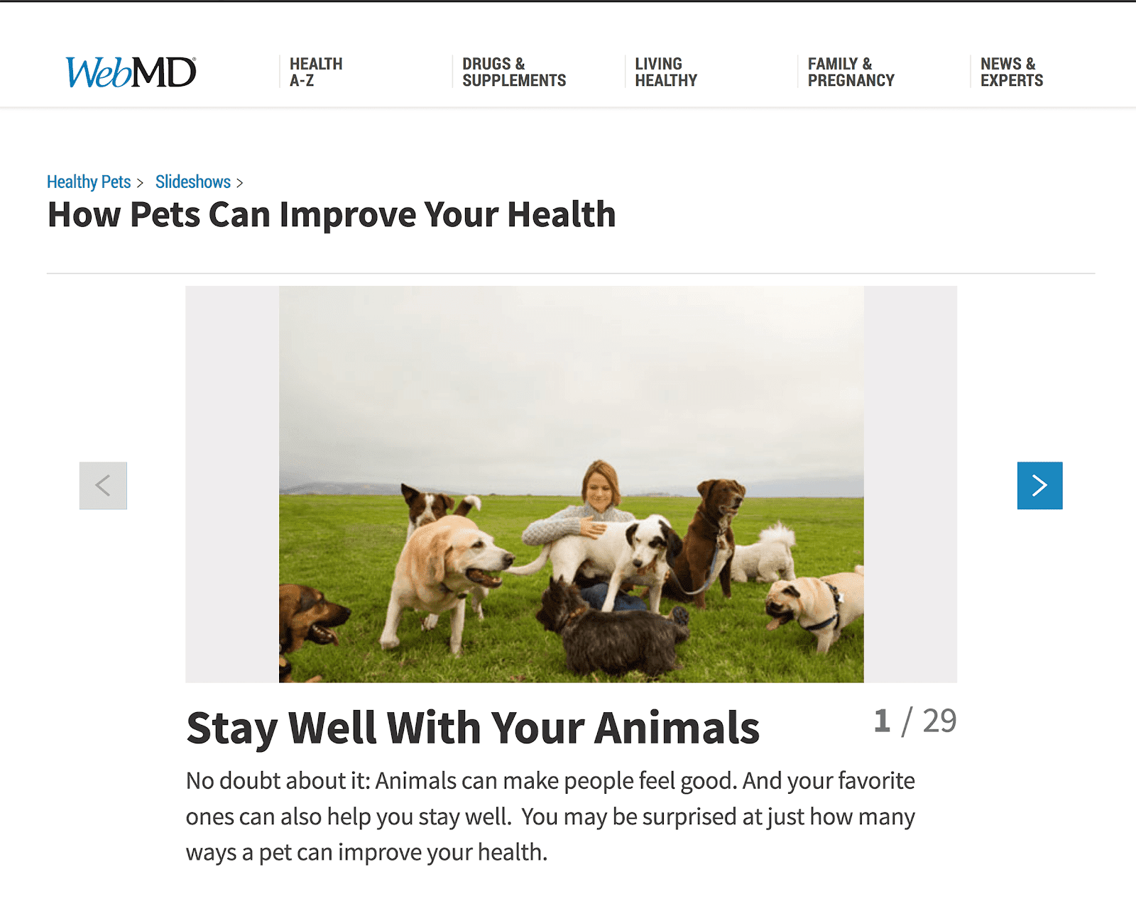 Trình chiếu WebMD