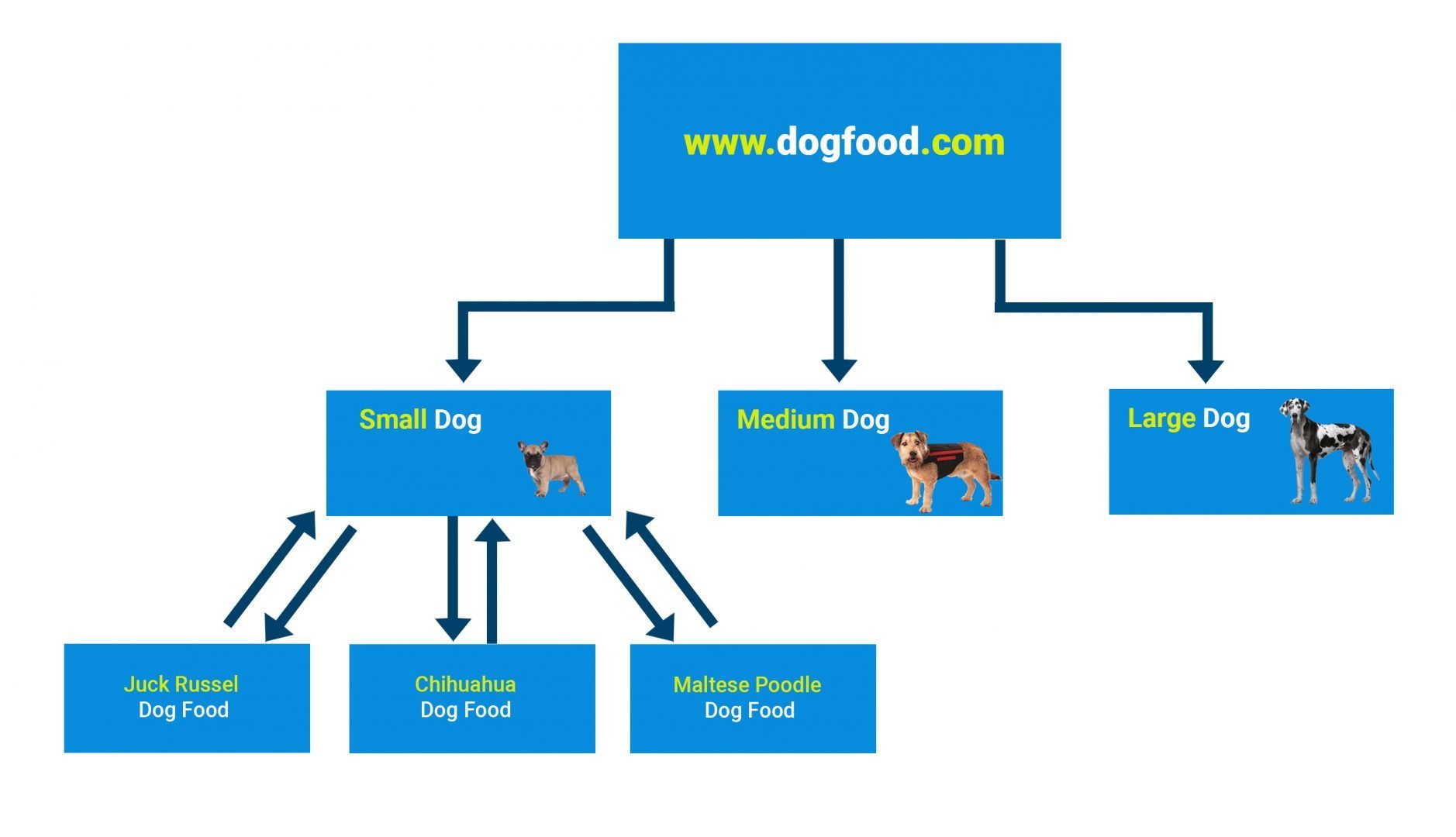 cấu trúc internal link