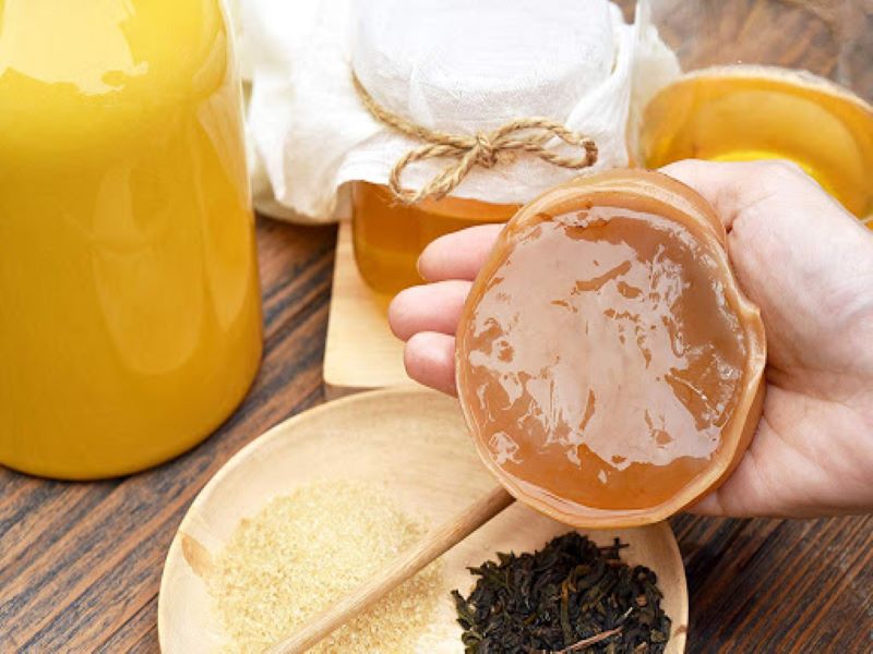 Cách nuôi Scoby để làm trà Kombucha