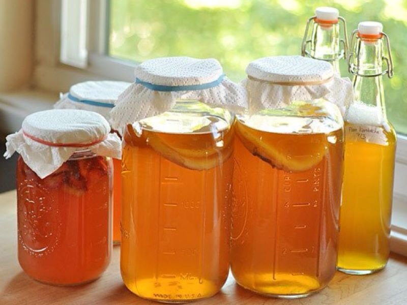 Những lưu ý khi nuôi Scoby