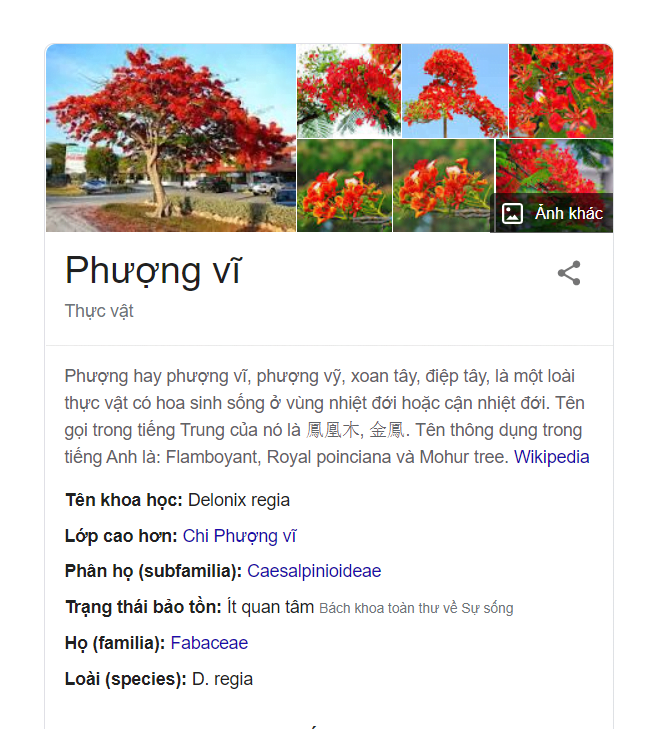 Bảng kiến thức (Knowledge panel)