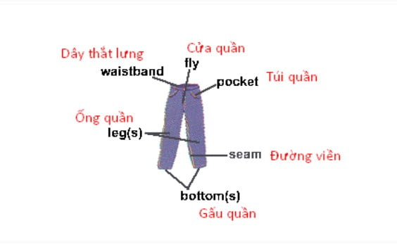 Bộ phận của quần áo