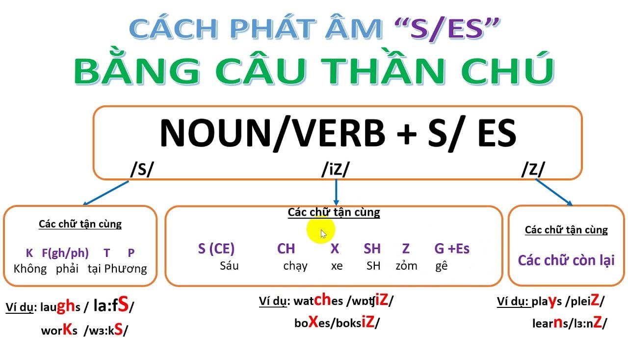 Cách phát âm ed, s, es thông dụng